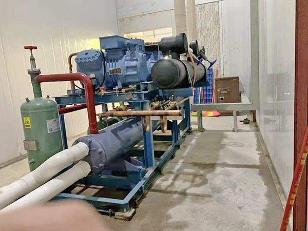 东莞冻品批发市场冷冻...