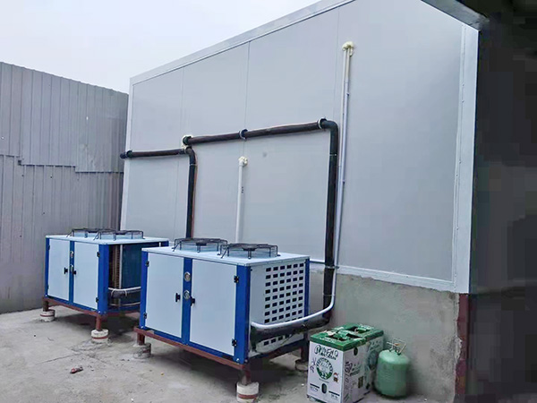 广州长运冷藏运输