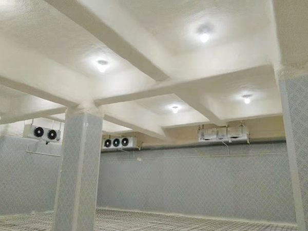 深圳海吉星冻品批发土...